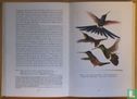 Paradijs-vogels en Kolibries - Image 3