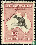 Kangoeroe - Afbeelding 1