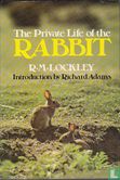 The Private Life of the Rabbit - Bild 1