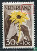 The Netherlands helps the Indies (P2) - Image 1