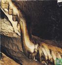 Postojna Caves - Afbeelding 2
