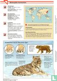 Siberische tijger [Proefexemplaar] - Image 2