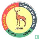 Jeleń - Image 1