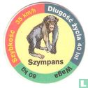 Szympans - Bild 1