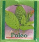 Poleo   - Afbeelding 3