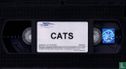 Cats - Image 3