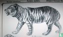Grote tijger - Afbeelding 3