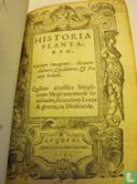 Historia Plantarum - Afbeelding 3