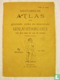 Anatomische atlas der gezonde, zieke en abnormale geslachtsorganen van den man en van de vrouw - Image 1