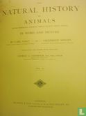 The natural history of animals - vol. II - Afbeelding 3