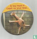If you want a Camel on your wall... - Image 1