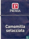 Camomilla setacciata - Bild 2