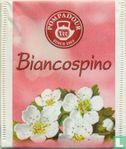 Biancospino - Afbeelding 1
