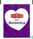 Borovnica - Afbeelding 1