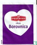 Borovnica - Afbeelding 2