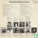 Country Hit Explosion - Image 2
