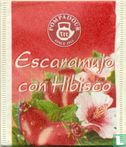 Escaramujo con Hibiscus  - Afbeelding 1