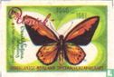 Vlinder - Uniek - Nederlandse Bond van Speciaalverzamelaars - 1948-1961 - Afbeelding 1