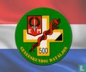 Medizinisches Bataillon 500 - Bild 1