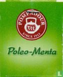 Poleo-Menta - Image 3