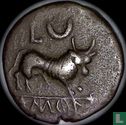 Castulo, Spain - Roman Empire  AE20  Semis  200-100 BCE - Image 2