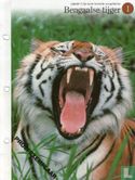 Bengaalse tijger - Bild 1