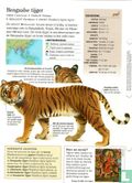 Bengaalse tijger - Bild 2