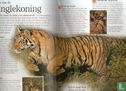 Bengaalse tijger - Image 3