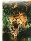 Red de tijger - Image 1