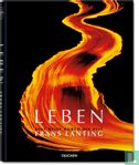 Leben - Image 1