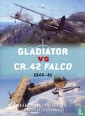 Gladiator vs CR.42 Falco