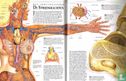 Het doorkijkboek van je lichaam - Image 3