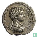 Geta Caesar 198-209, AR Denarius Rome - Afbeelding 1