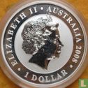 Australië 1 dollar 2008 (kleurloos) "Koala" - Afbeelding 1