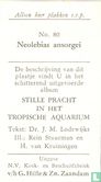 Neolebias Ansorgei - Afbeelding 2