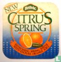 Citrus Spring - Image 2