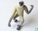 Gibbon - Afbeelding 1