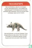 triceratops - Bild 2