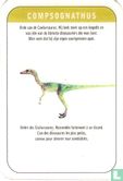 compsognathus - Afbeelding 2