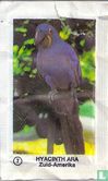 7 Hyacinth Ara - Image 1