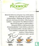 Summer Tea Melon Splash