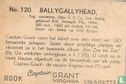 Ballygallyhead - Afbeelding 2