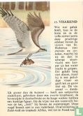 Visarend - Bild 1