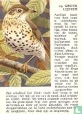 Grote Lijster - Bild 1
