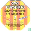 Davy Gysbrechts - Afbeelding 2