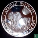 Somalië 100 shillings 2014 (kleurloos) "Elephant" - Afbeelding 2