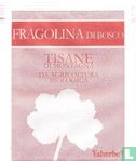 Fragolina di Bosco - Bild 1