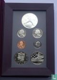 United States mint set 1992 (PROOF - 7 coins) - Image 1
