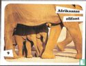 Afrikaanse olifant 9 - Afbeelding 1