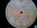 Surfer Rosa - Image 3